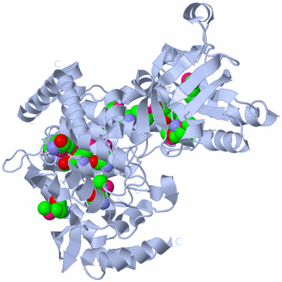 Image Biological Unit 1