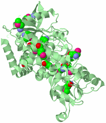 Image Biological Unit 2