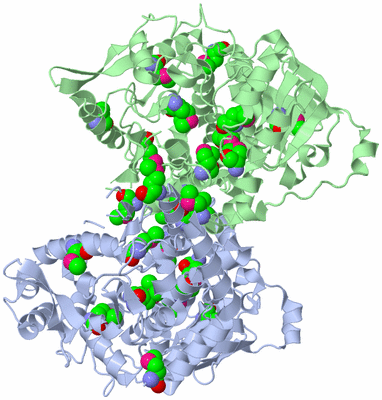 Image Biological Unit 3