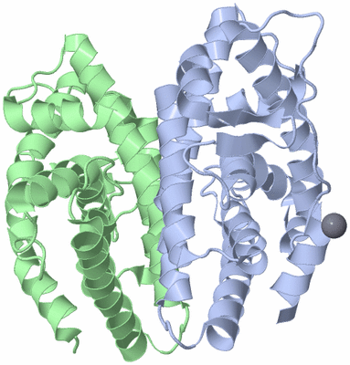 Image Biological Unit 1