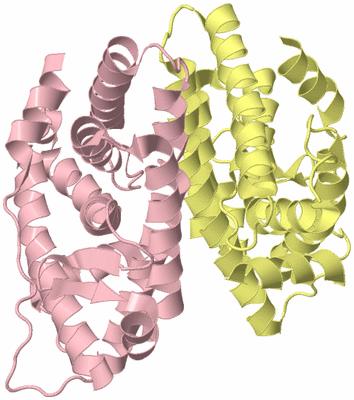 Image Biological Unit 2