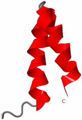 Image NMR Structure - all models