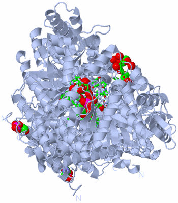 Image Biol. Unit 1 - sites