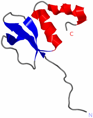 Image NMR Structure - model 1