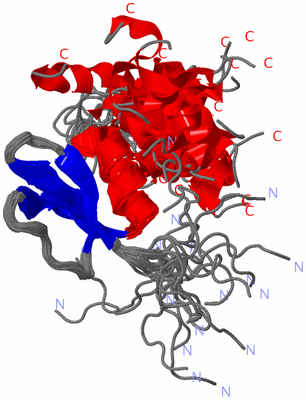 Image NMR Structure - all models