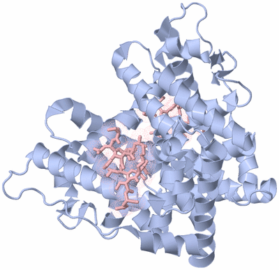 Image Biological Unit 1