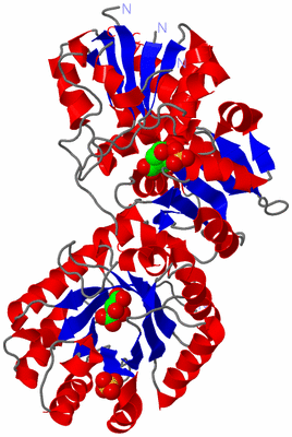 Image Asym./Biol. Unit