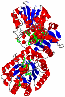 Image Asym./Biol. Unit - sites