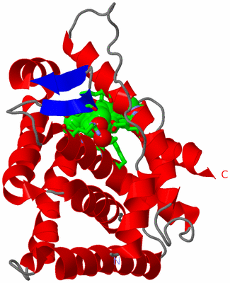 Image Asym. Unit - sites