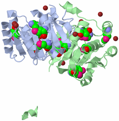 Image Asym./Biol. Unit