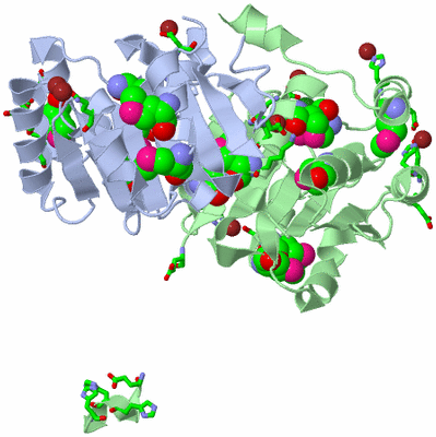 Image Asym./Biol. Unit - sites