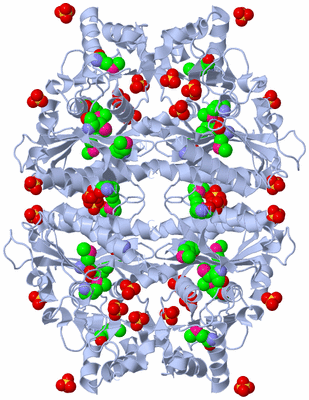 Image Biological Unit 1