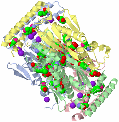 Image Asym./Biol. Unit