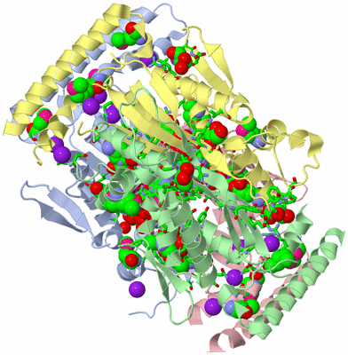 Image Asym./Biol. Unit - sites