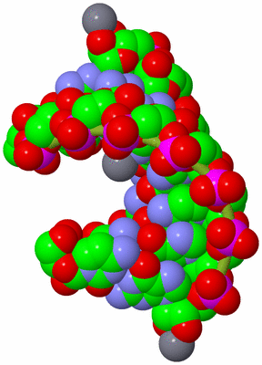 Image Biological Unit 2