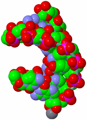 Image Biological Unit 1