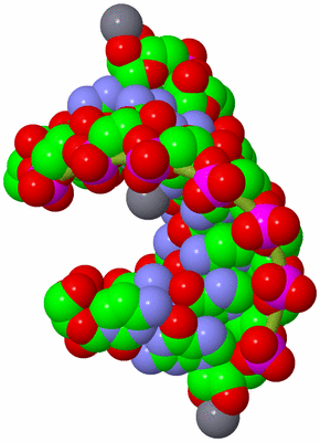 Image Biological Unit 2