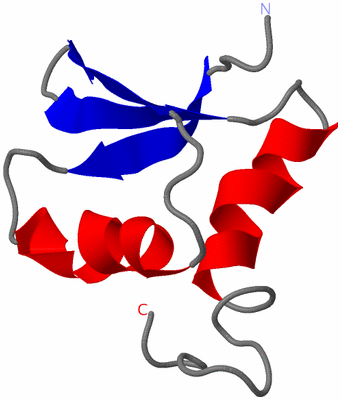 Image NMR Structure - model 1