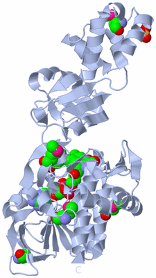 Image Biological Unit 1