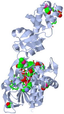 Image Biol. Unit 1 - sites