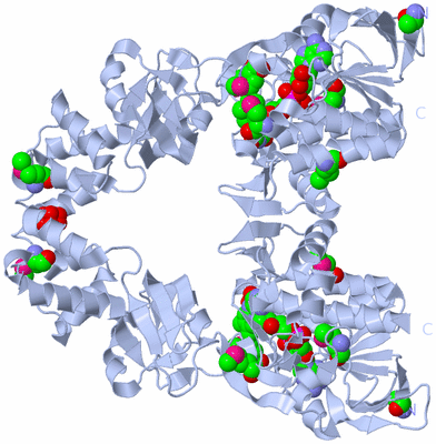 Image Biological Unit 2