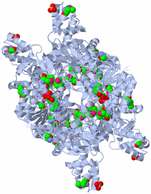 Image Biological Unit 3