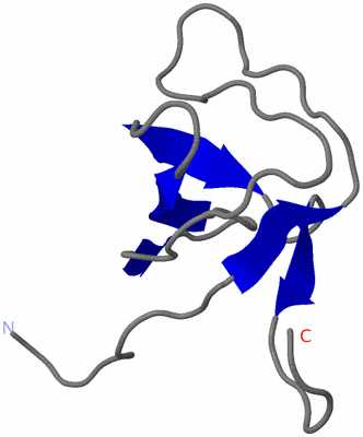 Image NMR Structure - model 1