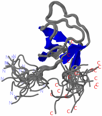 Image NMR Structure - all models