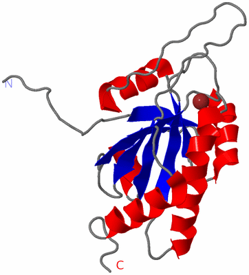 Image NMR Structure - model 1