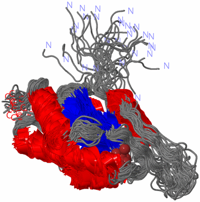 Image NMR Structure - all models