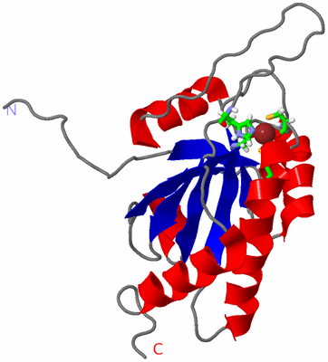 Image NMR Structure - model 1, sites