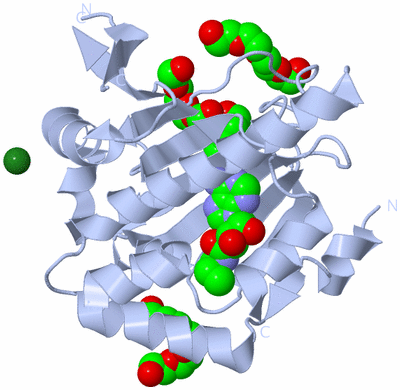 Image Biological Unit 1