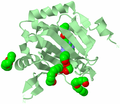 Image Biological Unit 2