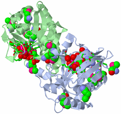 Image Asym./Biol. Unit - sites