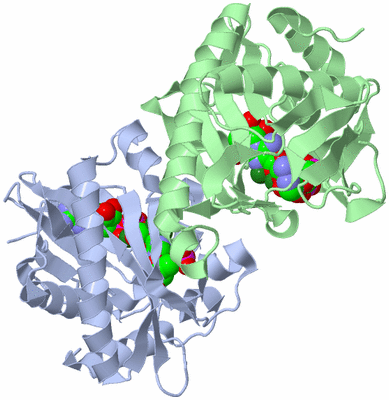 Image Asym./Biol. Unit