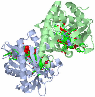 Image Asym./Biol. Unit - sites