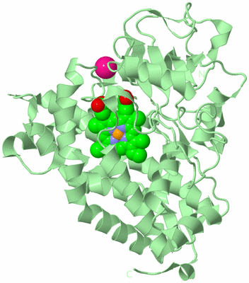 Image Biological Unit 2