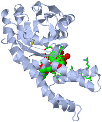 Image Biol. Unit 1 - sites