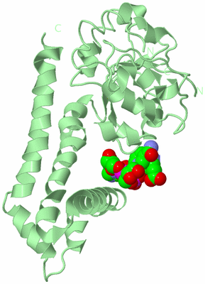 Image Biological Unit 2