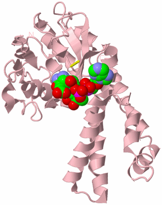 Image Biological Unit 3