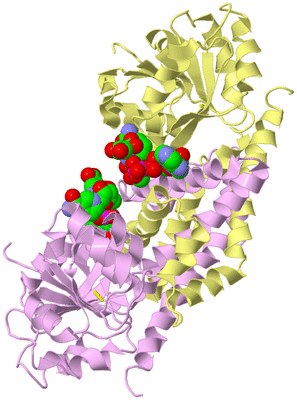 Image Biological Unit 6