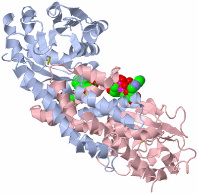 Image Biological Unit 7