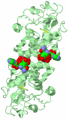 Image Biological Unit 8