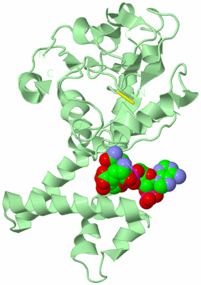 Image Biological Unit 2