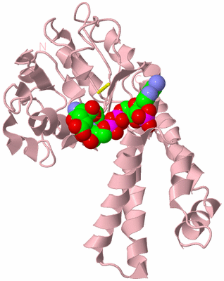 Image Biological Unit 3