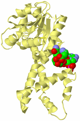 Image Biological Unit 4