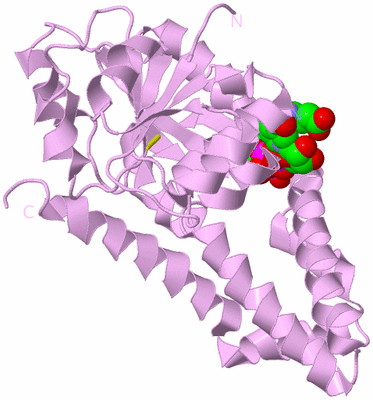 Image Biological Unit 5