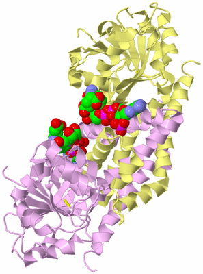 Image Biological Unit 6