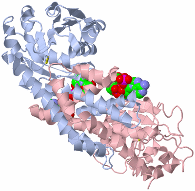 Image Biological Unit 7