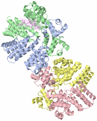 Image Asym./Biol. Unit